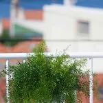Apartament Nada Sea View Centre