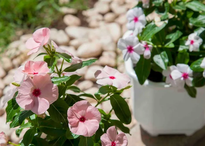 Nada Sea View Centre Šibenik