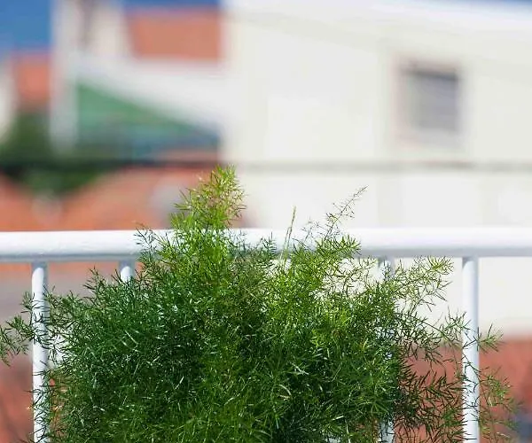 Apartamento Nada Sea View Centre